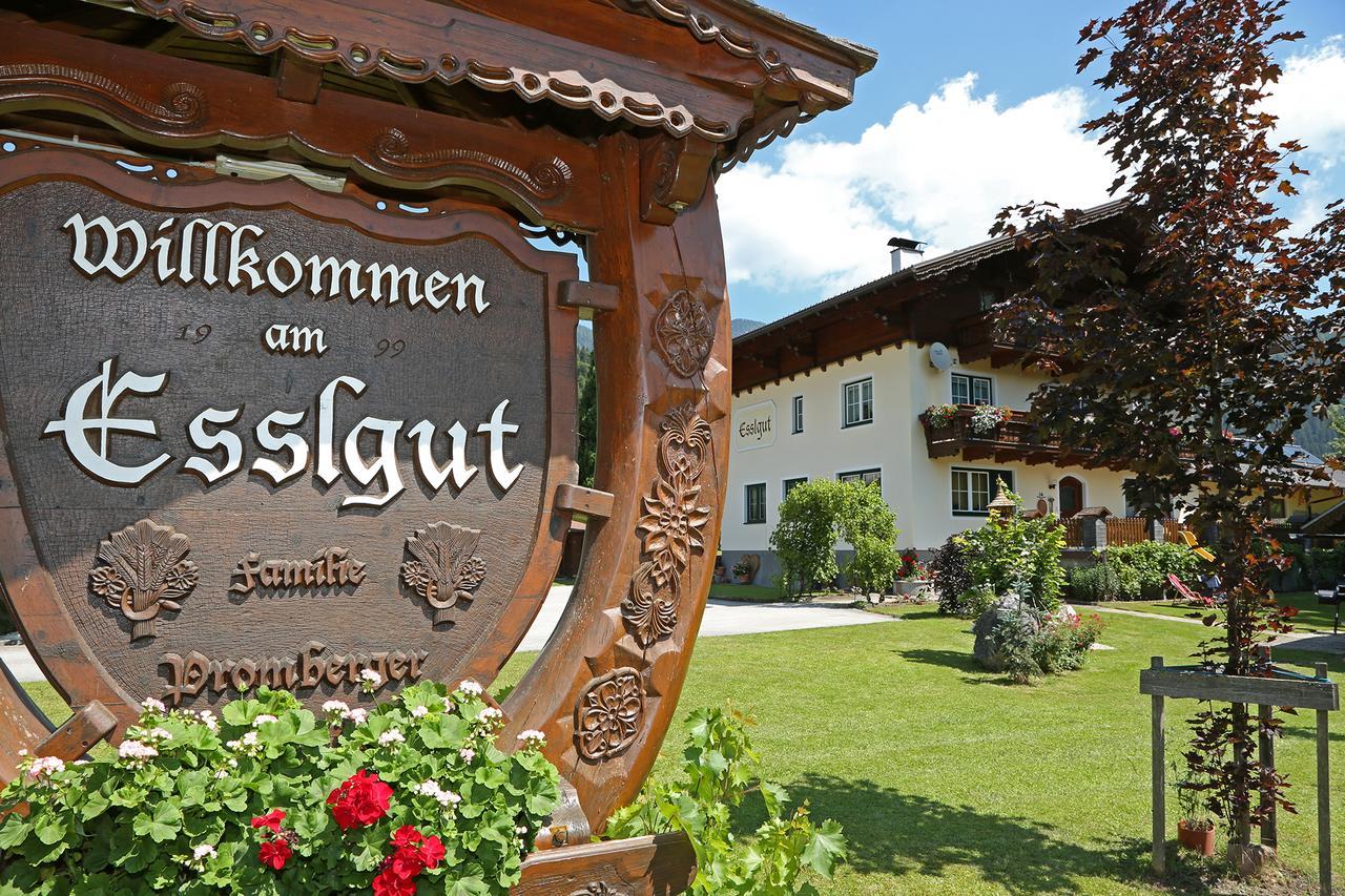 Appartments Am Esslgut Haus im Ennstal Eksteriør bilde